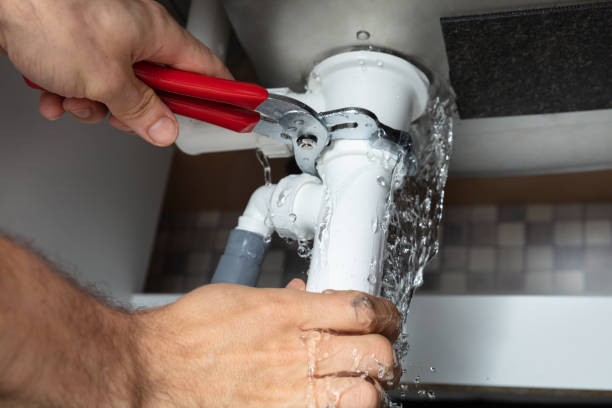 Best Water damage contractors near me  in North Oaks, MN