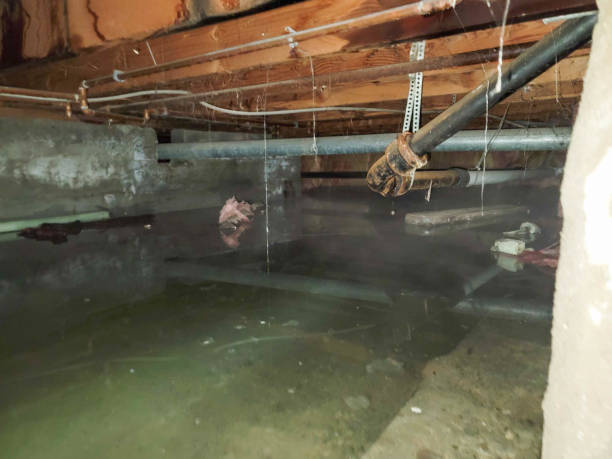 Best Sewage cleanup and water damage restoration  in North Oaks, MN