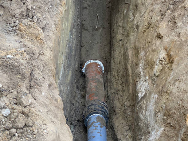 Best Flood damage cleanup  in North Oaks, MN