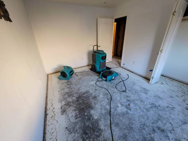 Best Water damage restoration near me  in North Oaks, MN