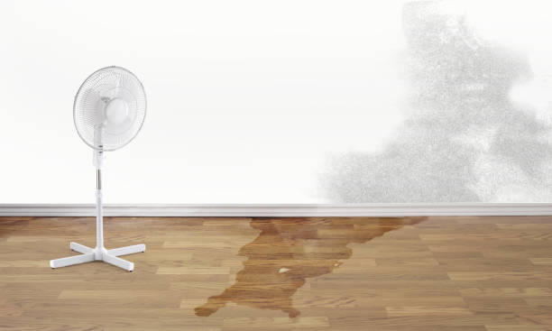 Best 24/7 water damage repair  in North Oaks, MN
