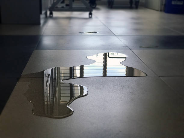 Best Professional water damage repair  in North Oaks, MN