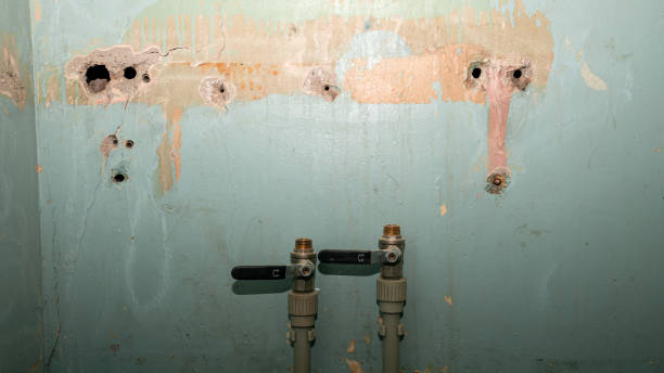 Best Water damage restoration services  in North Oaks, MN