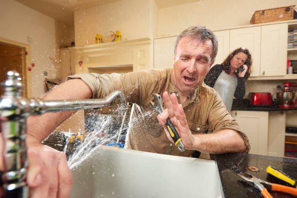 Best Mold removal after water damage  in North Oaks, MN
